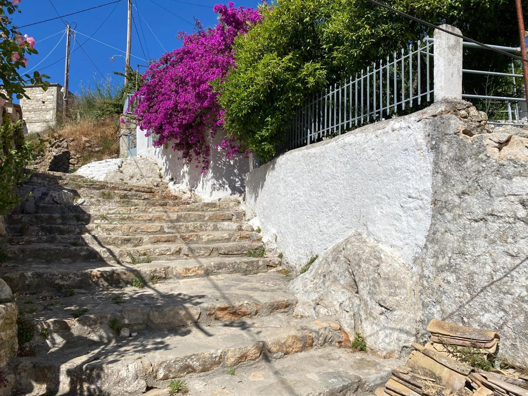 Antiklea Villa Vathy  Exterior photo